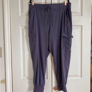 COPY - All in motion purple joggers